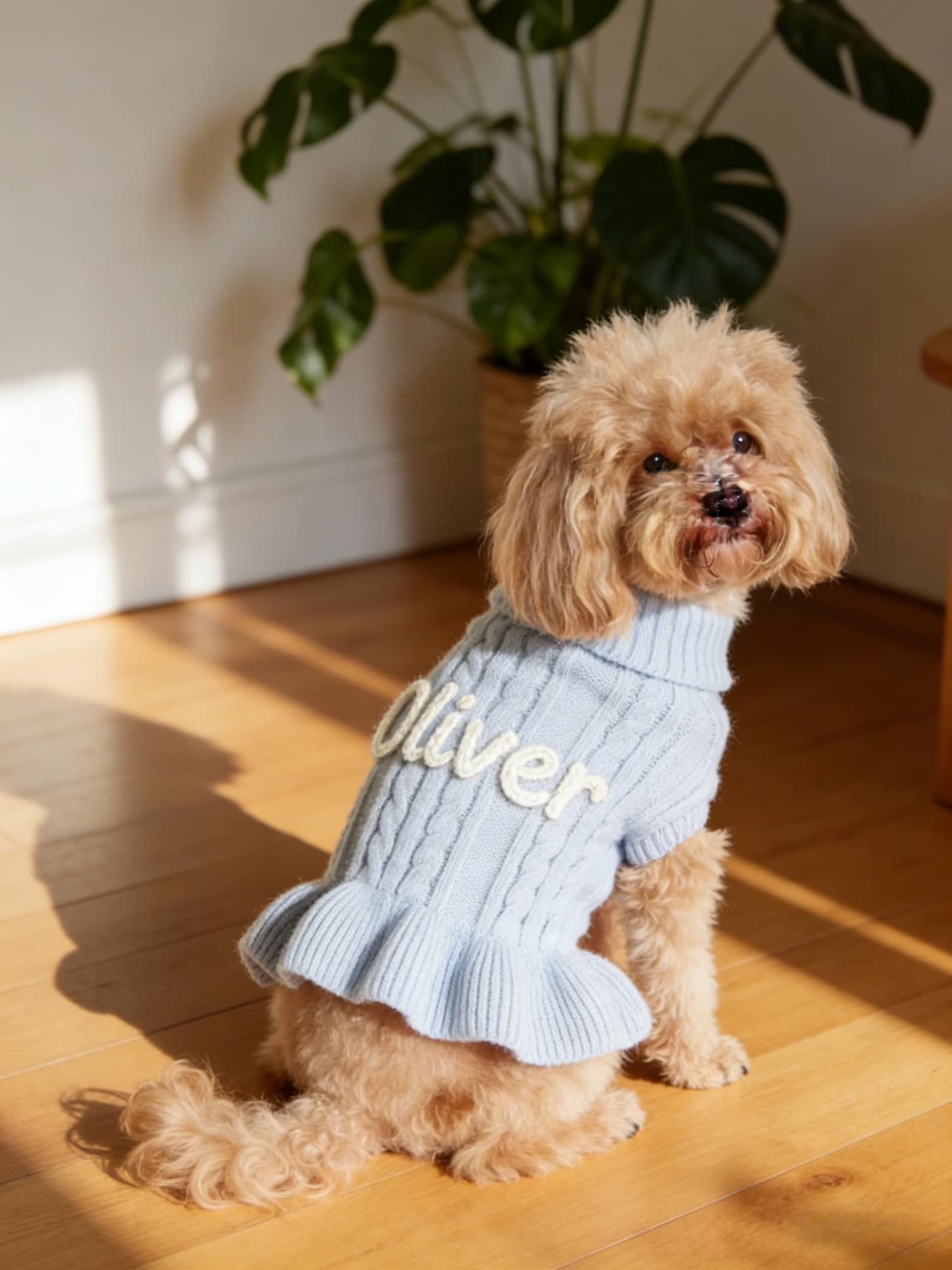 Muttechen® Personalisierter Hunde-Hoodie aus Wollmix – Handgefertigter Kapuzenpullover mit Namensstickerei