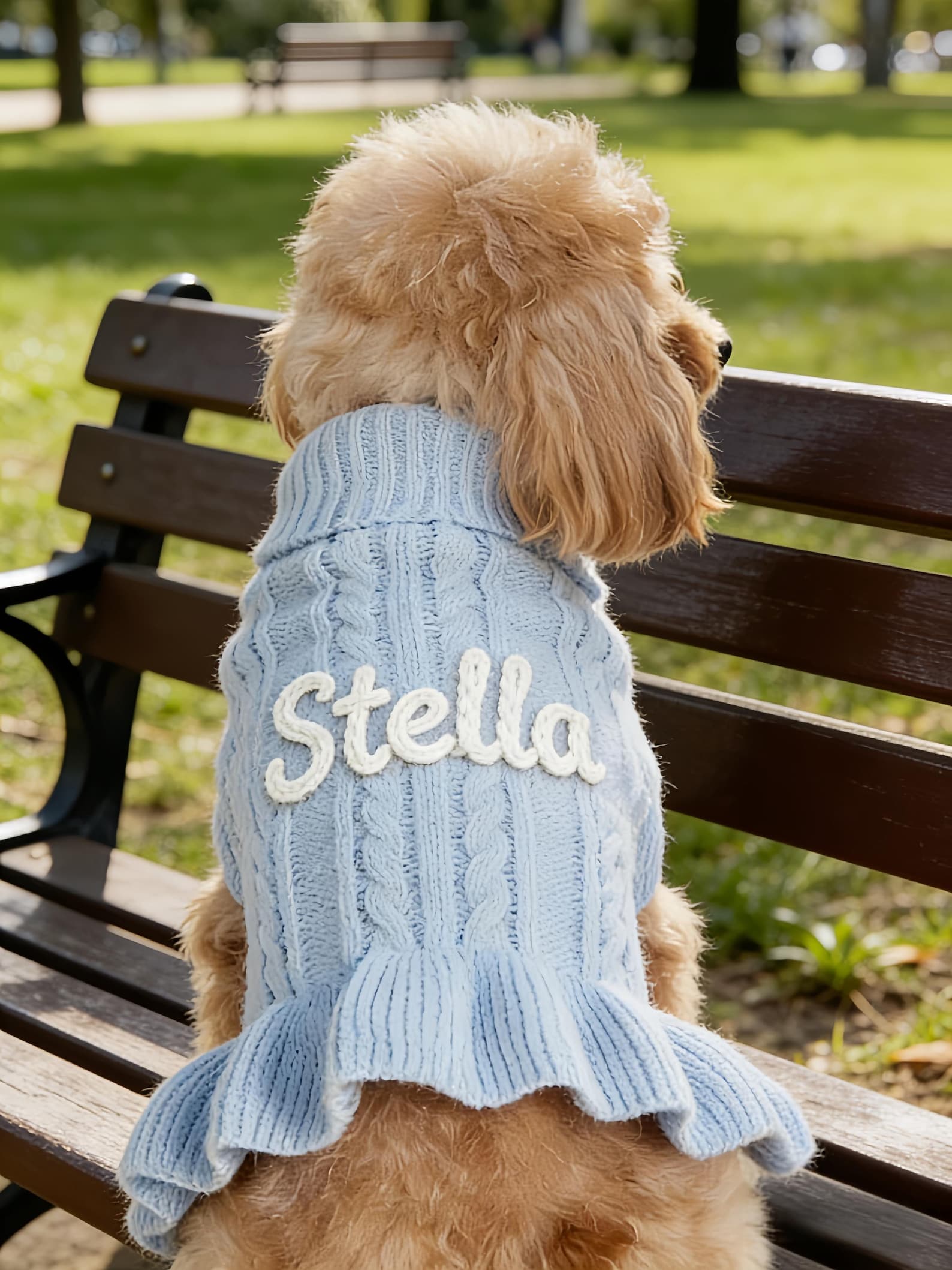 Muttechen® Personalisierter Hunde-Hoodie aus Wollmix – Handgefertigter Kapuzenpullover mit Namensstickerei