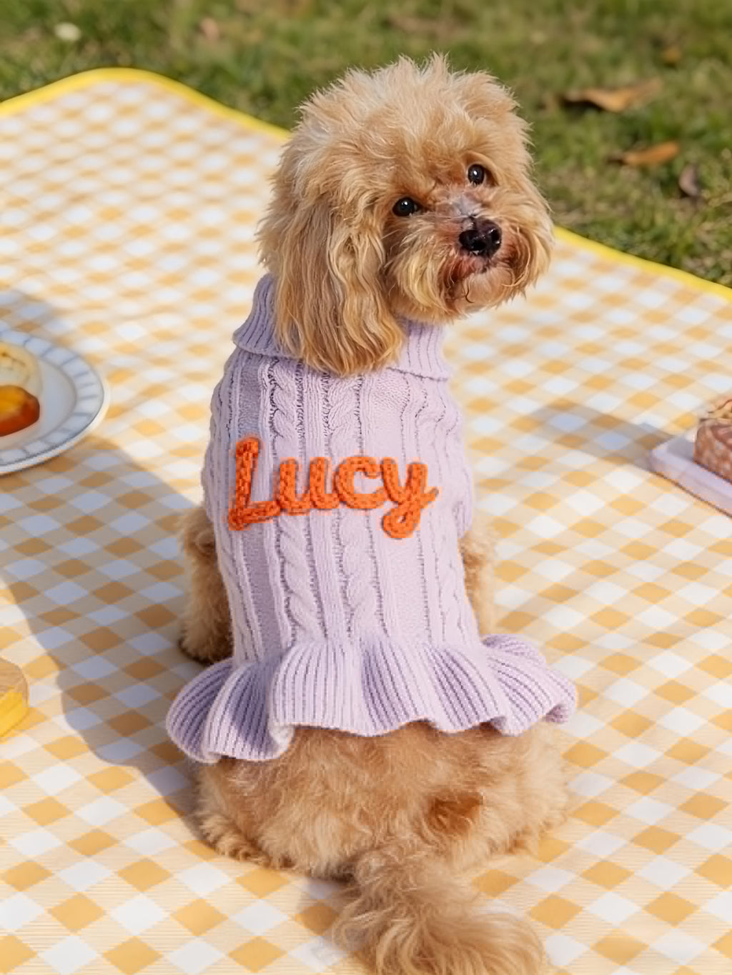 Muttechen® Personalisierter Hunde-Hoodie aus Wollmix – Handgefertigter Kapuzenpullover mit Namensstickerei