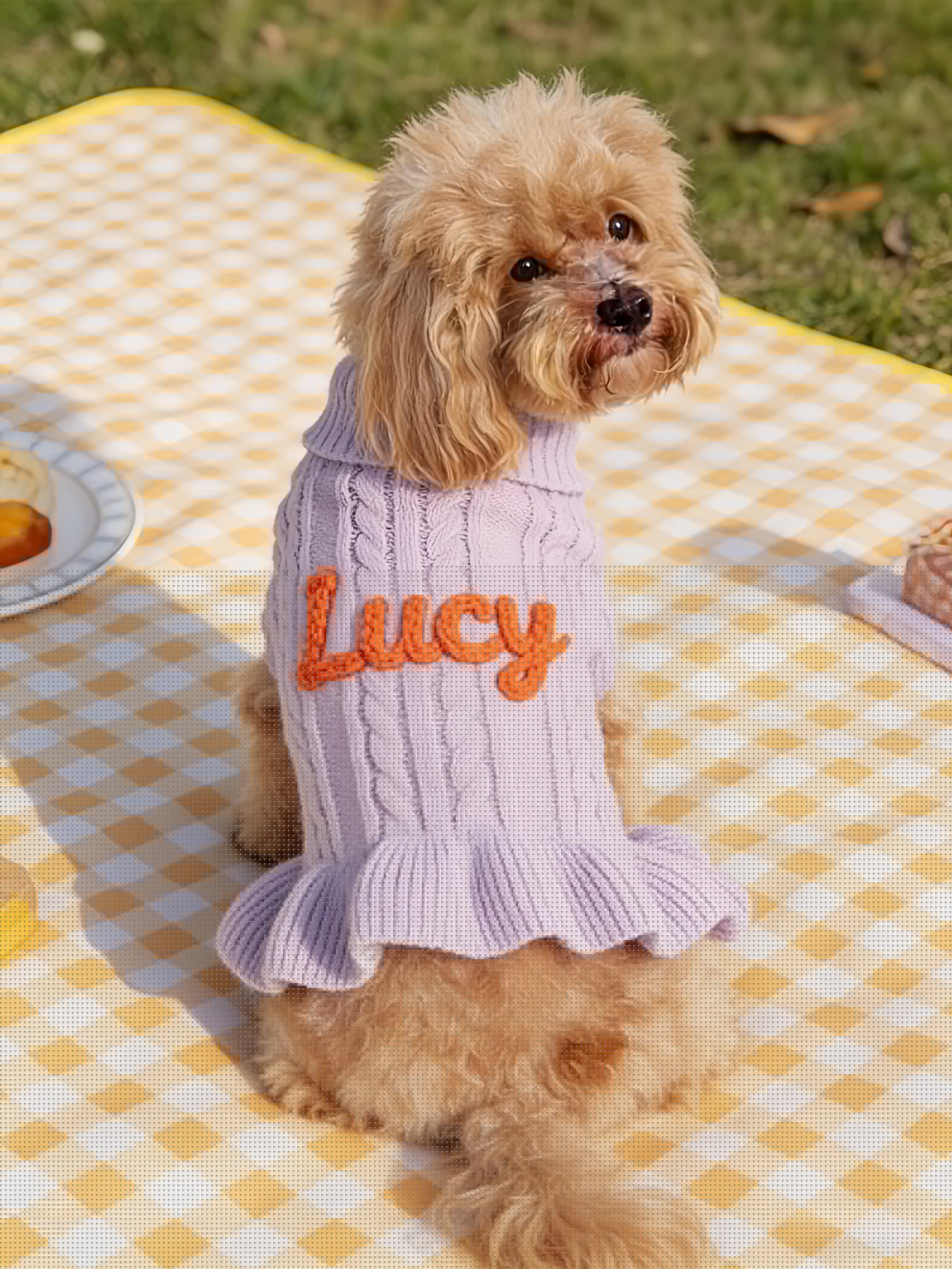 Muttechen® Personalisierter Hunde-Hoodie aus Wollmix – Handgefertigter Kapuzenpullover mit Namensstickerei